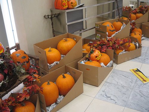 277156575 83fa9a83f0