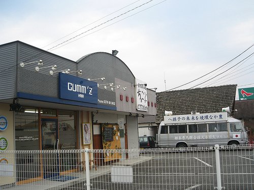 350175380 5c81619035 (1)