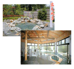 Picture of Japanese onsen