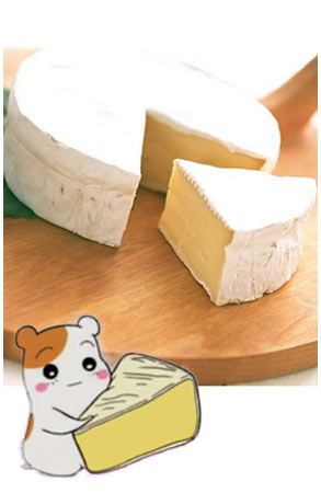 Jlistfront Cheese