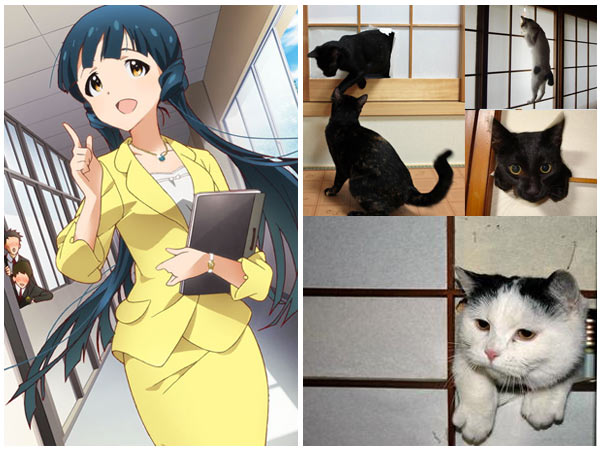 Cats and Japan, plus thoughts on the Japanese and English language.