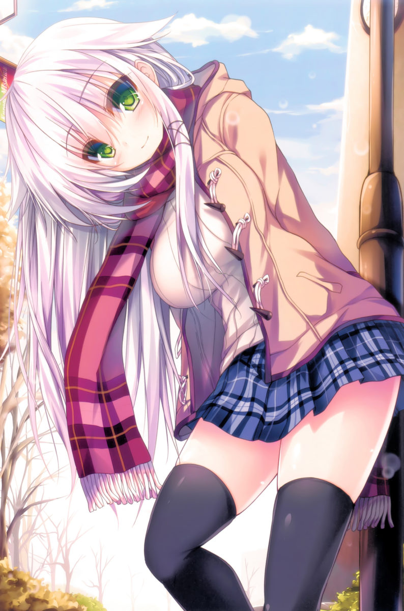 Fukuneko Biyori Syroh Artworks Art Book 0011