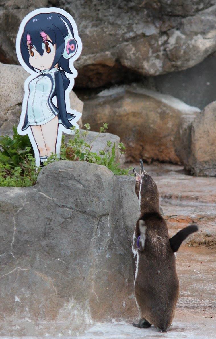 Kemono Friends Penguin