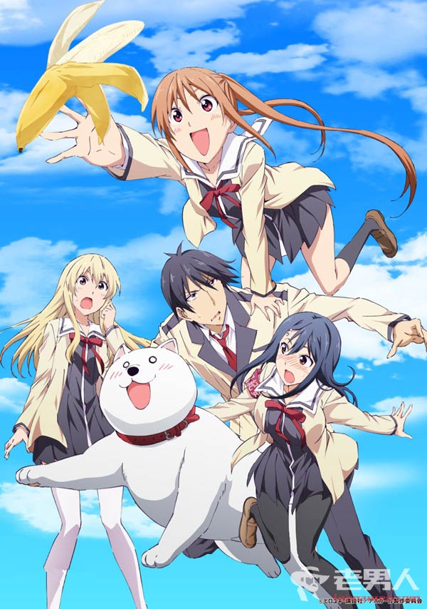 Aho Girl