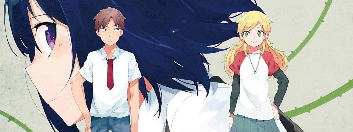 Ookami Shounen Wa Kyou Mo Uso Wo Kasaneru Featured Image