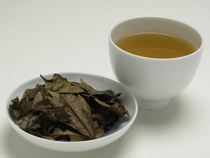 Bancha Tea