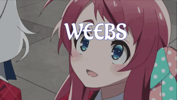 Weebs Vs Fucking Weebs and extreme otaku culture