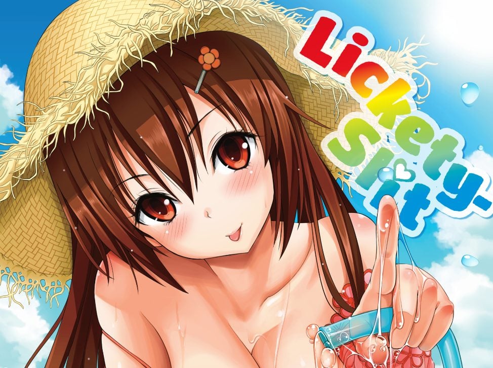 Lickety Slit Cover Image