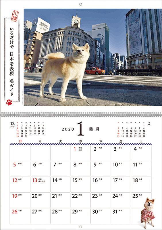 Akita Inu 2020 Dog Calendar 1 