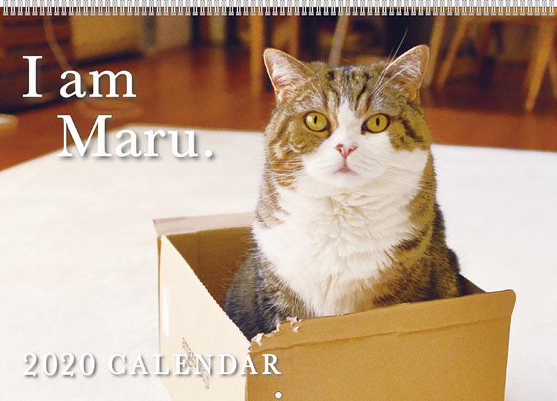 I Am Maru 2020 Cat Calendar 2 