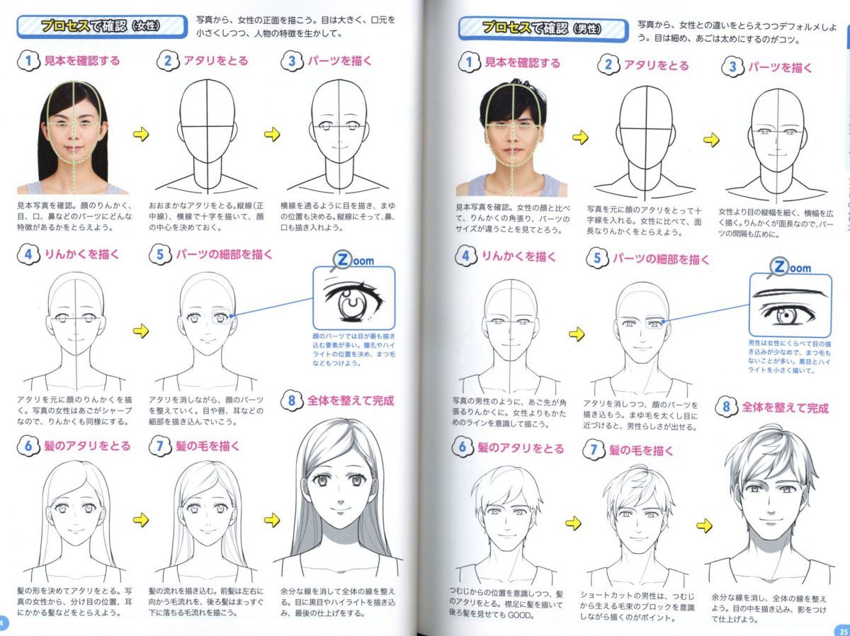 Shows How To Understand The Structure Of The Face