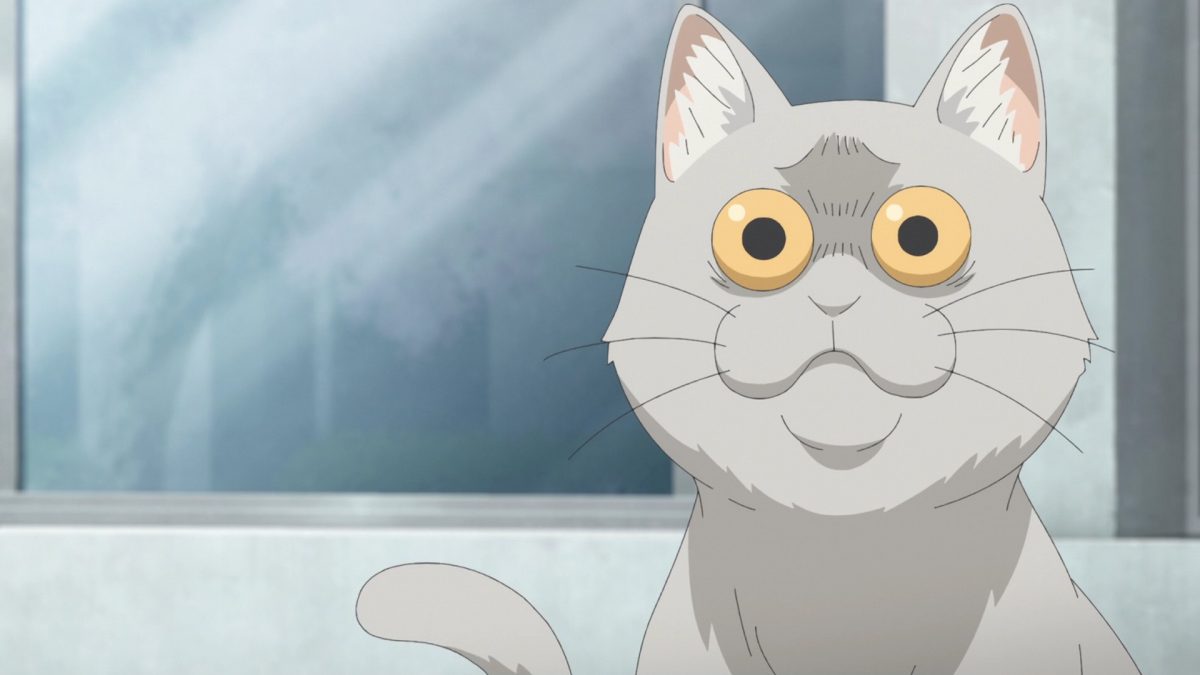 Uzaki Chan Wa Asobitai! Episode 1 Freaky Cat