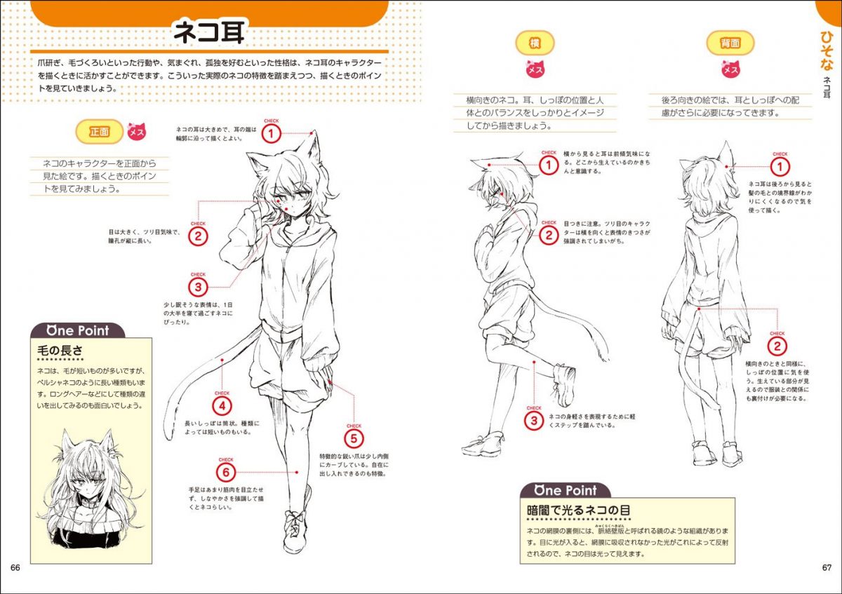 A Section Exploring The Physics Of Catgirl Ears