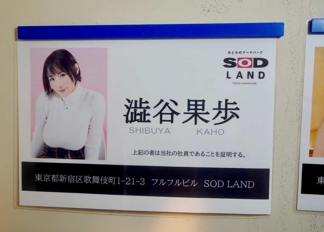 Kaho Shibuya's Official SOD Land Badge 