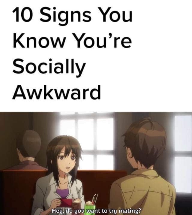 Social Awkwardness In Japanese Relationships