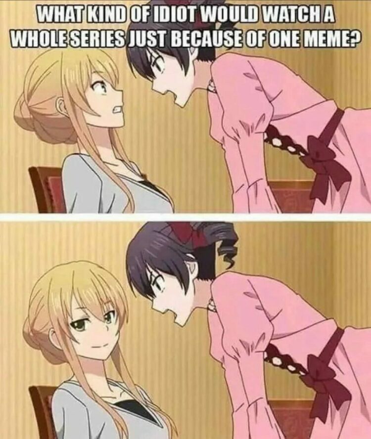 What Kind Of Idiot Would Watch A Whole Series Because Of One Meme?