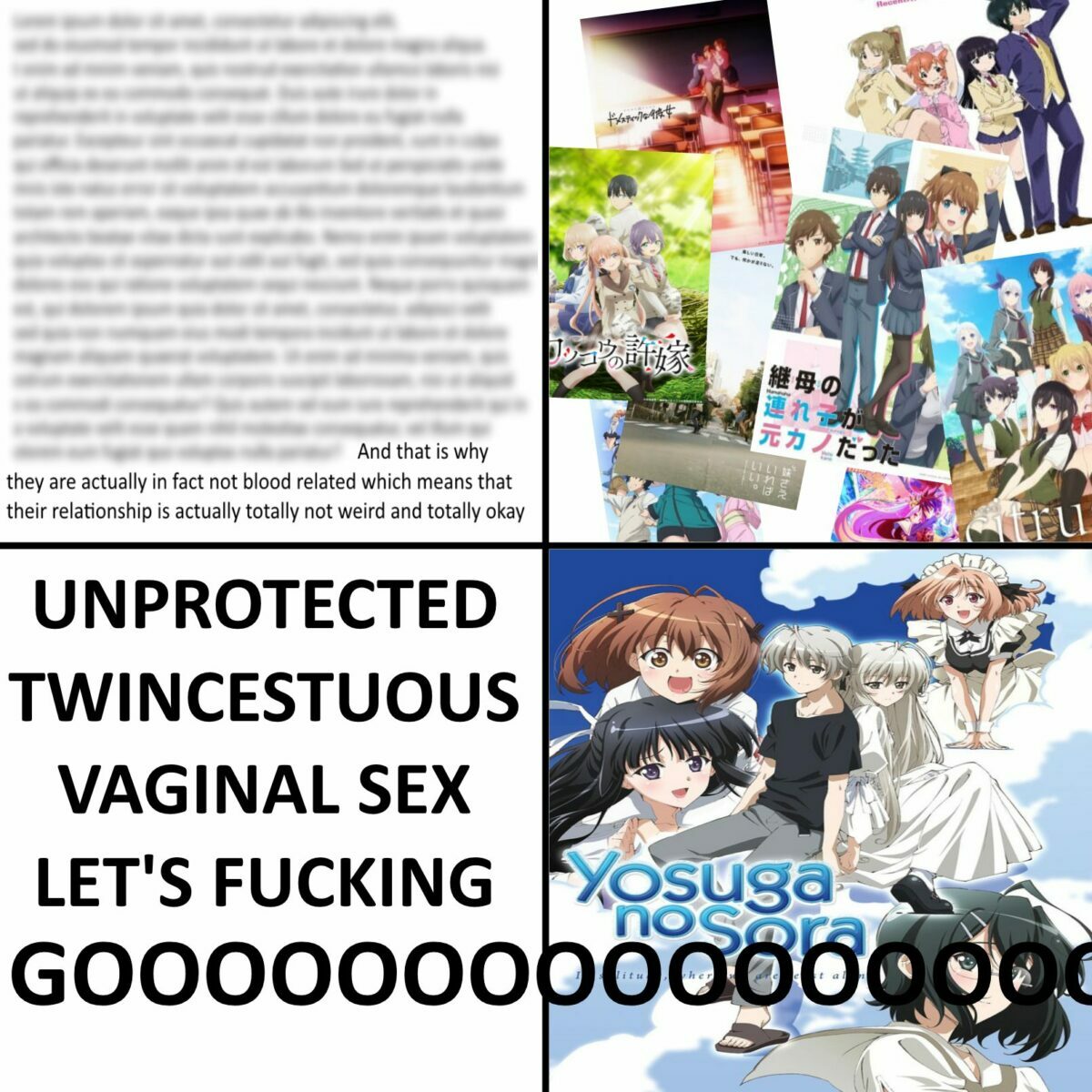 Yosuga No Sora Incest Anime Meme