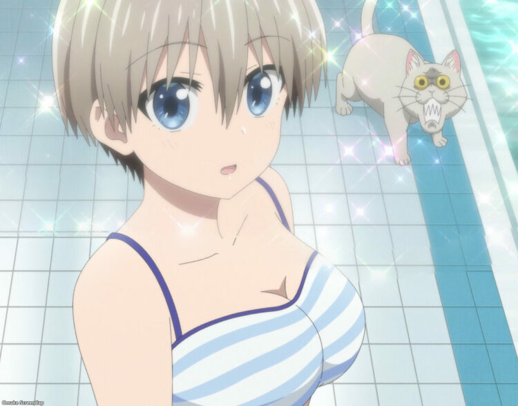 Uzaki Chan Wants To Hang Out! S2 Episode 2 Uzaki And Kuso Cat