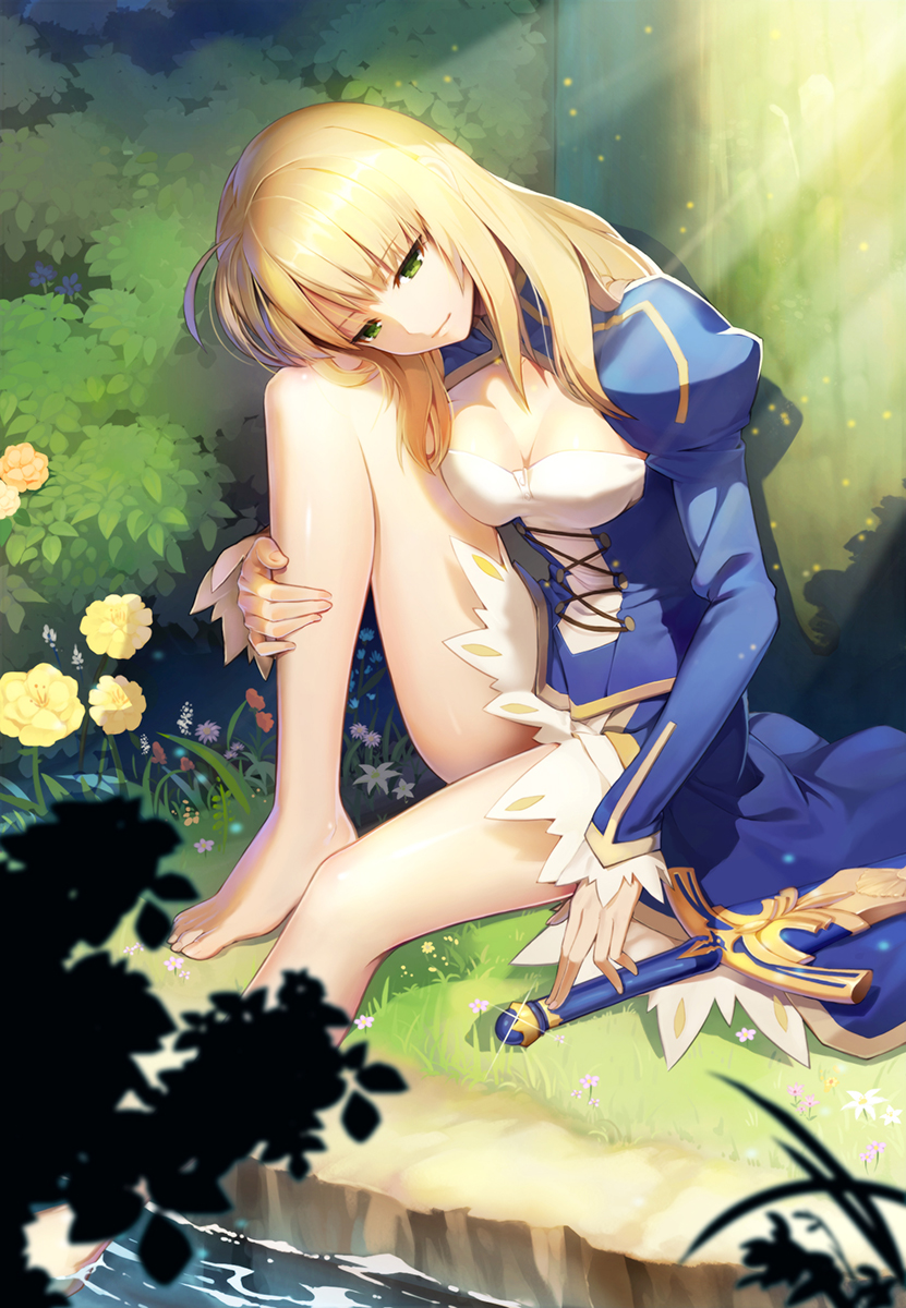 Saber From Fate:stay Night