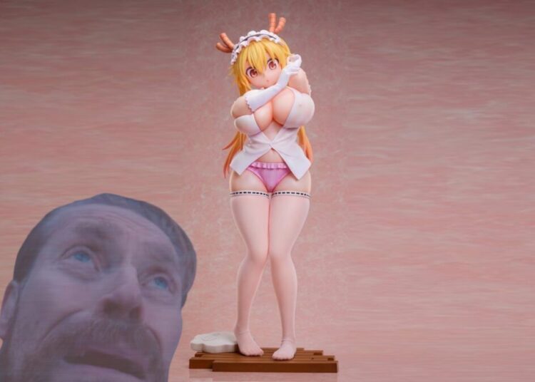 A.DIMENSION Dragon Maid Tohru 14 Figure Web Cover