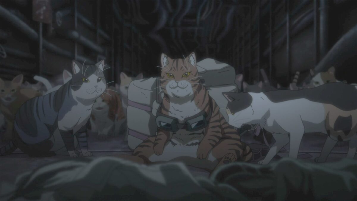 Nyaight Of The Living Cat Episode 1 5