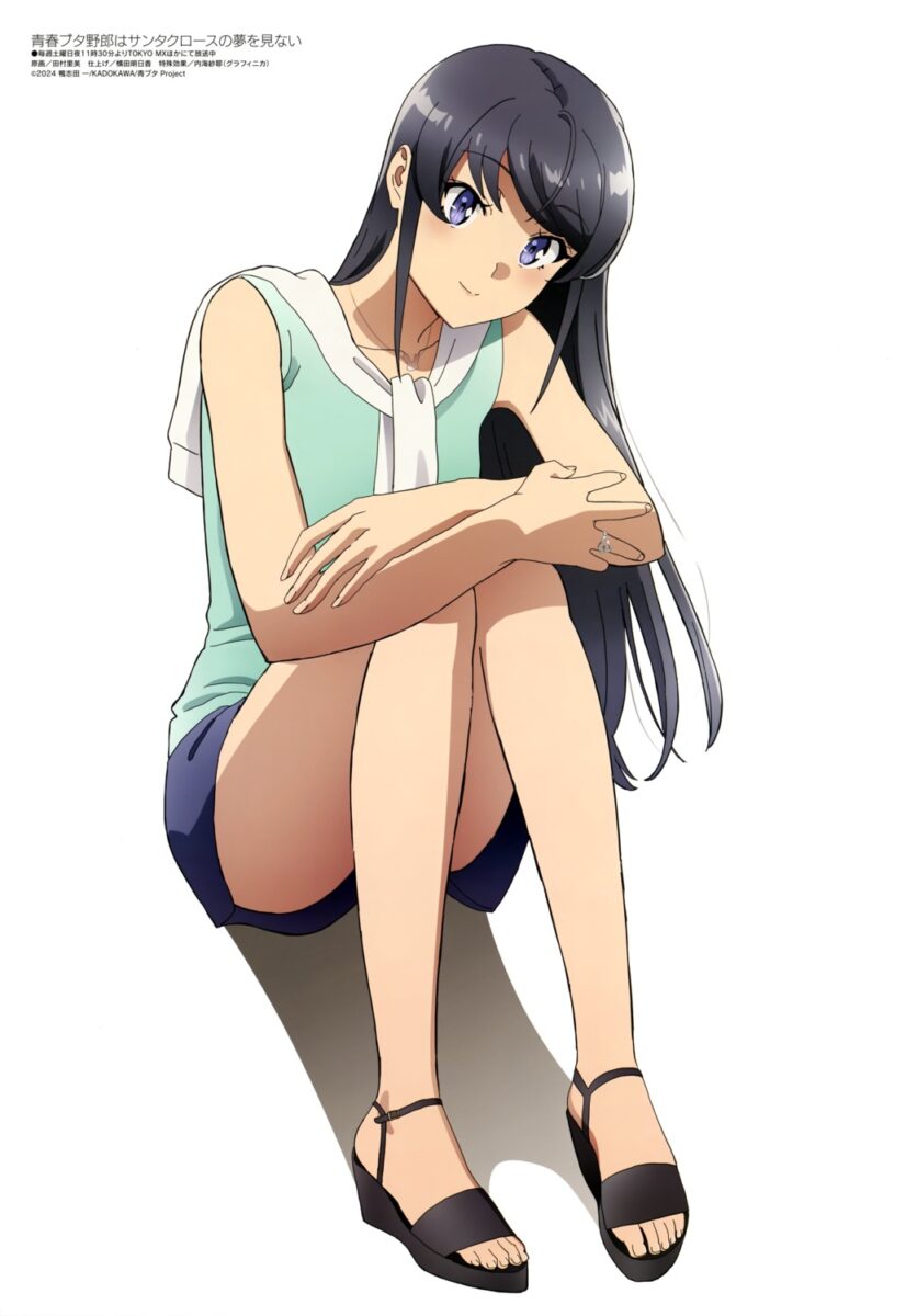 Seishun Buta Yaro Anime Poster Megami Magaizne October 2025