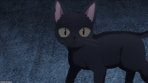 Gushing Over Magical Girls Episode 5 Korisu Looks At Black Cat