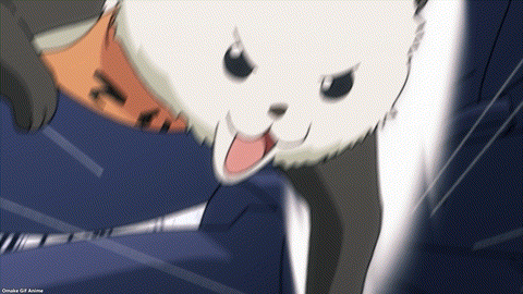 TenPuru Episode 13 [BD SP] Kiki Nyagosuke Cat Slaps Yuzuki Akemitsu