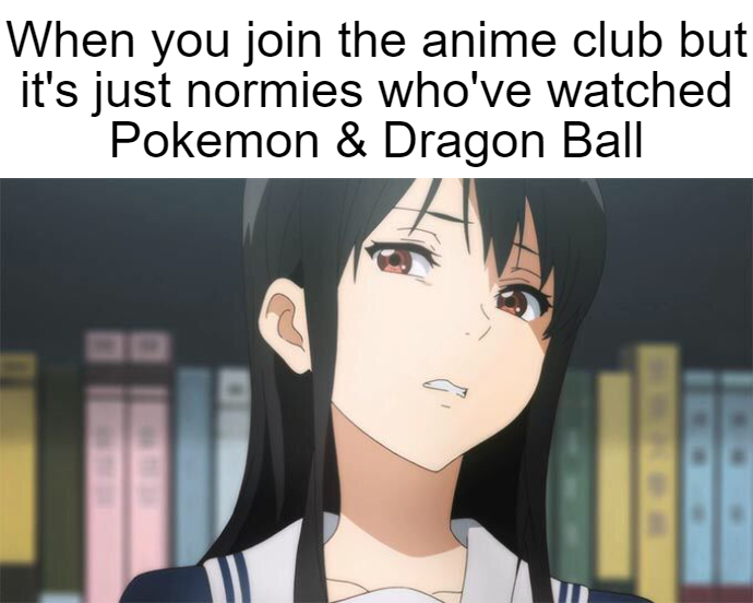 Anime Normies Meme