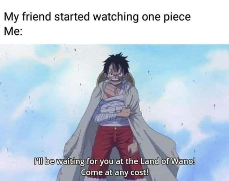 One Piece Meme
