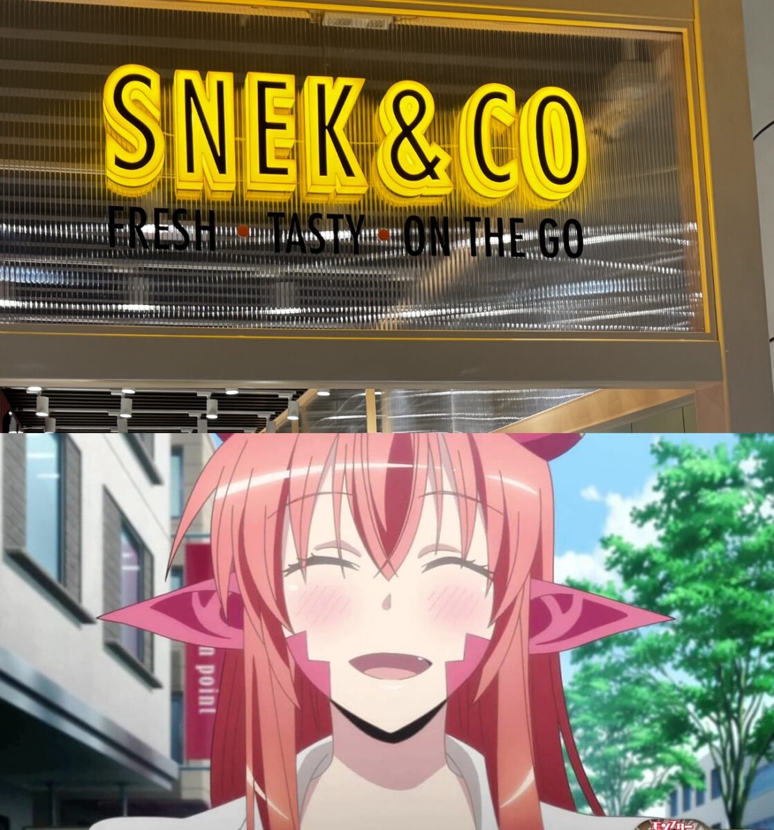 Snek And Co